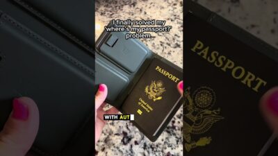 Passport wallet must have! #passportwallet #kingsloot #passport #travelessentials @kingsloot