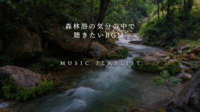 【Playlist】森林浴気分で聴きたいBGM | 作業用BGM | 勉強用BGM