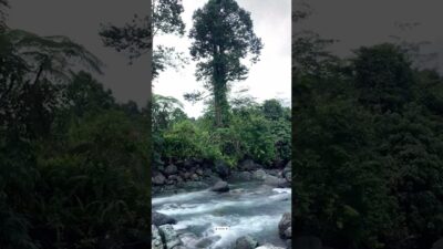 Pure Nature ASMR 🌿 #travel #adventure #shortvideo