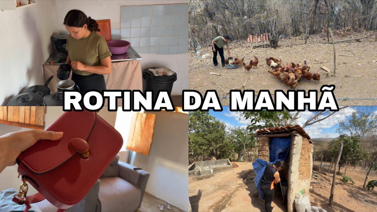ROTINA DA MANHÃ MORANDO NO SÍTIO