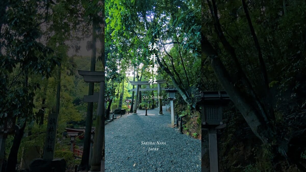 【寺社仏閣巡り】 狭井神社 SAI Shrine