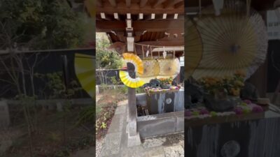 【法輪寺】仏様への礼を尽くして、遺す。｜東京都新宿区 #Shorts