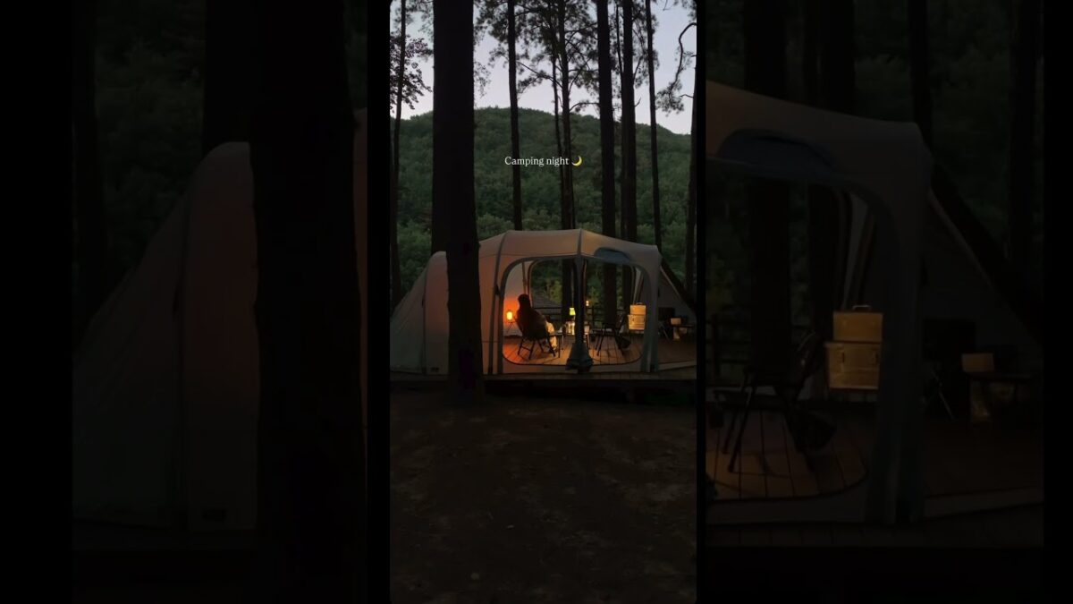 Sub for more videos like this #nature #asmr #naturesounds #relax