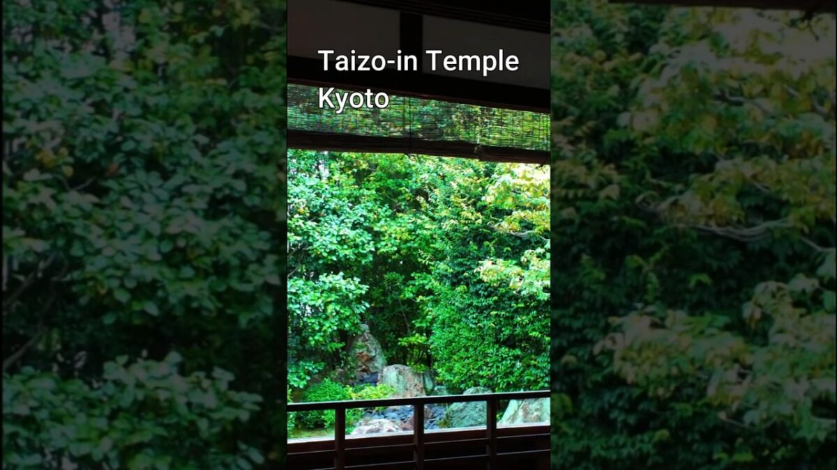 Taizo-in Temple, Kyoto | A Quiet Walk Through a Beautiful Zen Garden