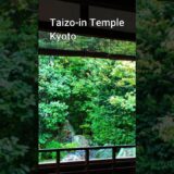 Taizo-in Temple, Kyoto | A Quiet Walk Through a Beautiful Zen Garden