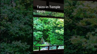 Taizo-in Temple, Kyoto | A Quiet Walk Through a Beautiful Zen Garden