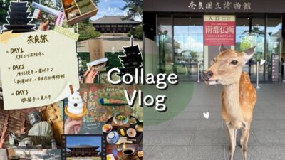 【奈良ひとり旅Vlog】お寺と仏像を巡る3日間🦌｜法隆寺・東大寺・薬師寺・唐招提寺