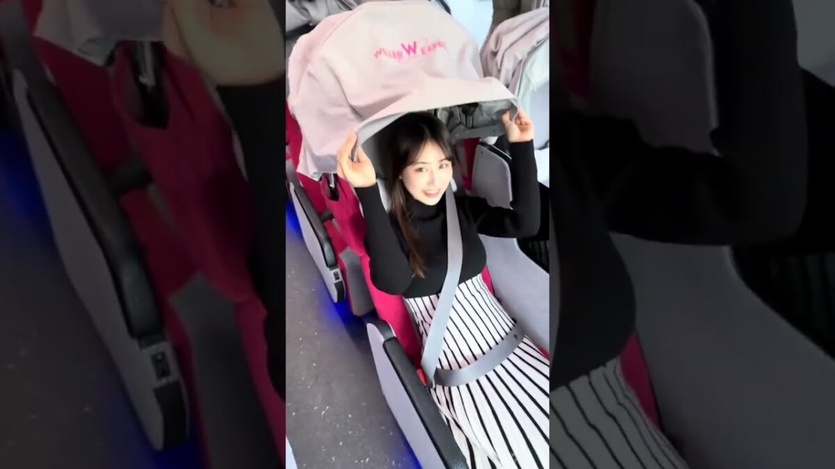 東京のおすすめスポット高速バス夜行バスWILLEREXPRESS🚌安くて快適に東京観光▪️屋台ラーメンしゅんやっちゃん〒193-0845東京都八王子市初沢町１２７７−８▪