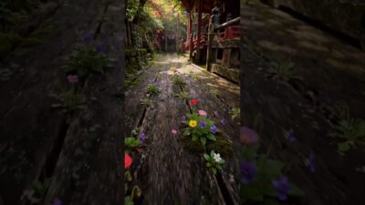 a little walk an old Japanese shrine#pov #japanwalk #shrine #japanesegarden