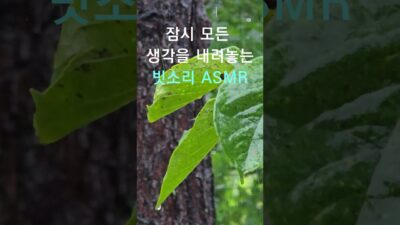 잠시 모든 생각을 내려놓는 빗소리 #빗소리asmr #수면유도 #rainsounds #백색소음 #rain #shorts #꿀잠유도 #불면증 #NatureASMR