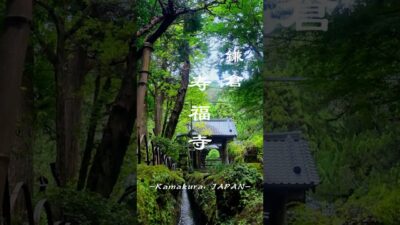 苔と石畳に癒される…鎌倉・寿福寺の参道　#kamakura #japantravel