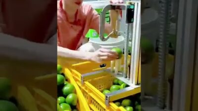 #satisfying #fruit #nature#asmr#vegetable#farming#1m