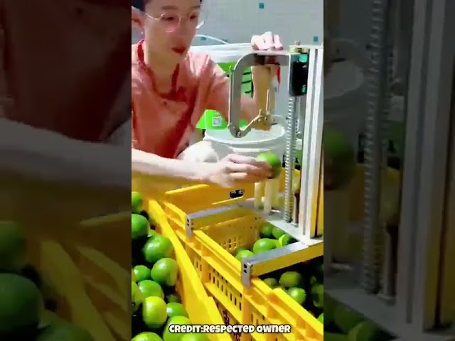 #satisfying #fruit #nature#asmr#vegetable#farming#1m
