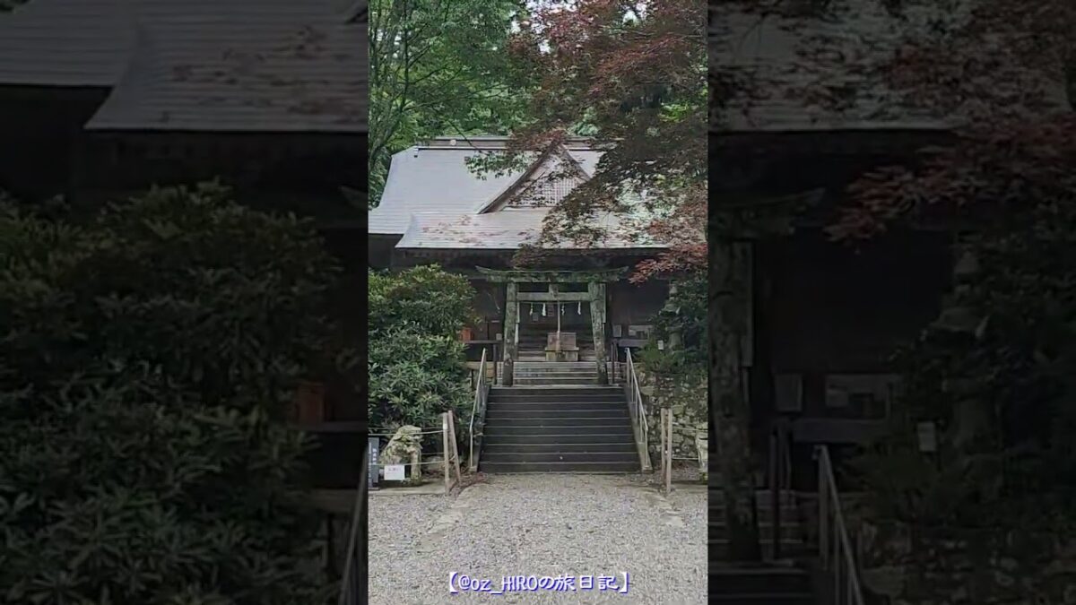 【神社仏閣シリーズ】山あいに佇む神秘の古社！～西照神社 #shorts #西照神社 #美馬市 #神社巡り #パワースポット #歴史散策 #自然スポット #癒しの時間