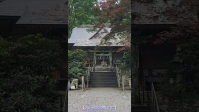 【神社仏閣シリーズ】山あいに佇む神秘の古社！～西照神社 #shorts #西照神社 #美馬市 #神社巡り #パワースポット #歴史散策 #自然スポット #癒しの時間