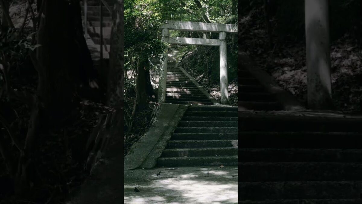 【ジャンボ干支だけじゃない⛩️】辰水神社｜静かな山里に残る祈り【三重県津市】