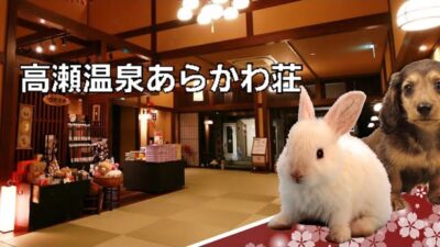【新潟】高瀬温泉あらかわ荘でオールインクルーシブ｜一人旅の備忘録