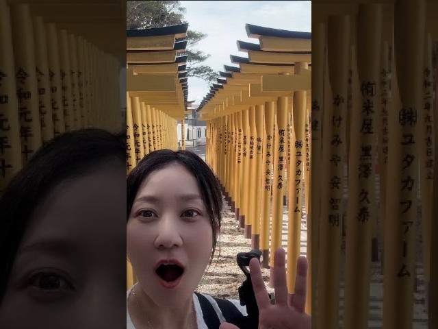 欲しい物が手に入る！ほしいも神社【茨城】