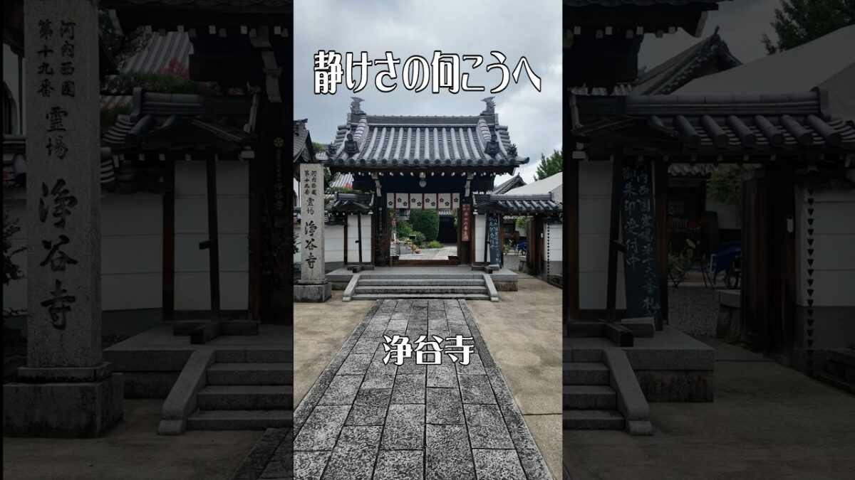 【静かな時間が流れる】浄谷寺（大阪・富田林市） ｜心落ち着く癒やしの寺