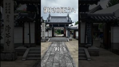 【静かな時間が流れる】浄谷寺（大阪・富田林市） ｜心落ち着く癒やしの寺