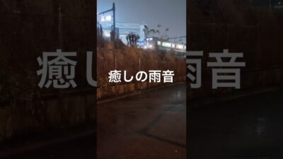 雨音が響く大阪の夜、あなたも一緒に #雨 #大阪散歩 #癒し動画