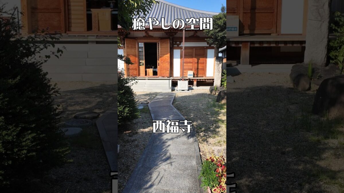 【心ほどける】西福寺（大阪・和泉市）｜癒やしを感じる静寂の時間と空間