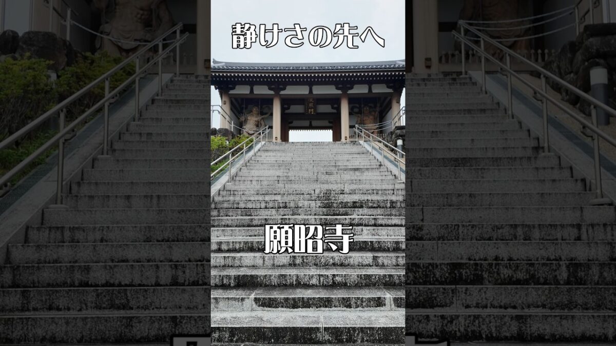 【静寂に包まれる】願昭寺（大阪・富田林市）｜時を感じる癒やしの寺
