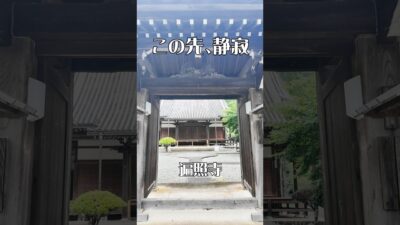 【山里の静寂】遍照寺（奈良・黒滝村）｜心落ち着く癒やしの寺