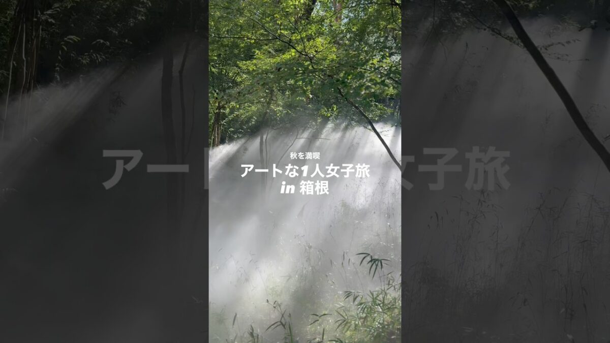 #箱根　#1人旅　#女子旅　#ポーラ美術館