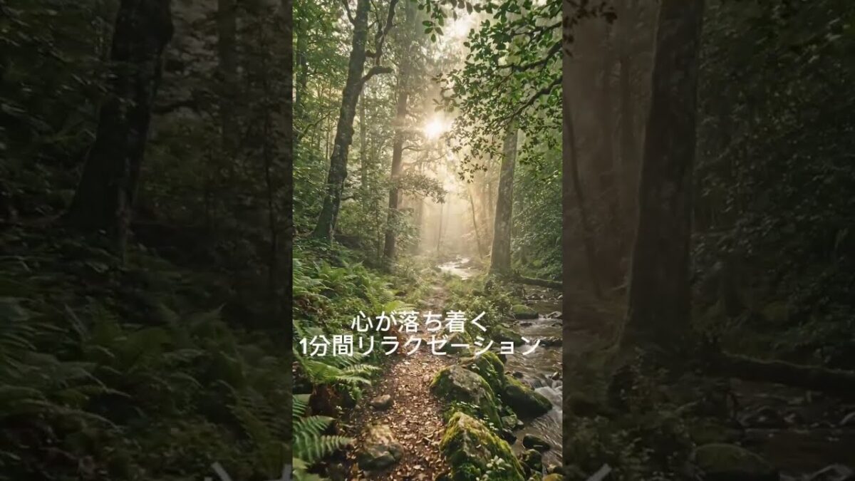 【睡眠前】疲れた脳を休める1分間リラクゼーション｜1日のストレスをリセットする森林浴#リラクゼーション#睡眠用BGM #疲労回復 #ヒーリング#マインドフルネス#shorts