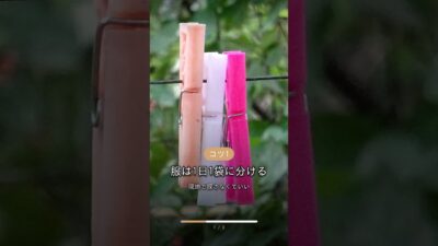 旅行の荷造り、いつもぐちゃぐちゃ きれいに詰めるコツ3つ #shorts
