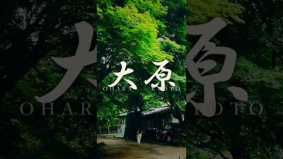 京都・大原の里をゆっくり歩いて寂光院へ。小川と細い道、池泉の庭、苔と杉木立。4Kスローモーションで撮影。