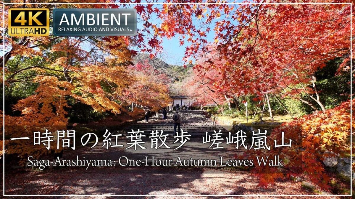 【4K・環境動画】錦秋の京都 〜嵯峨嵐山の十二の名所の美しい紅葉をご覧下さい。渡月橋, 常寂光寺, 天龍寺, 宝厳院, 二尊院, 祇王寺, 大覚寺, 清涼寺 [No.745]