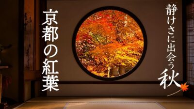 【京都の紅葉4K】静けさに出会う秋の絶景16選｜Kyoto Autumn Leaves 4K Beautiful Quiet Spots