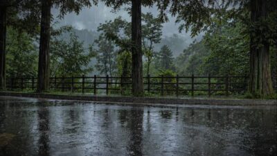 不眠解消に最適な雨の音：雨の日の散歩・ASMR・心地よいホワイトノイズ