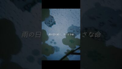 【ASMR｜睡眠用】今日の音日記1-雨のおさんぽ #shorts #asmr #雨音 #睡眠 #自然音 #おすすめ