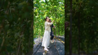 Amazing fruits that bring relaxation #satisfying #fruit #nature #asmr #vegetable #farming #1m