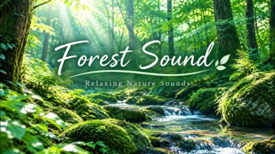 【睡眠用BGM】心が整う2時間の森林浴～鳥のさえずりと森の癒し音～｜Forest Bathing for Deep Sleep