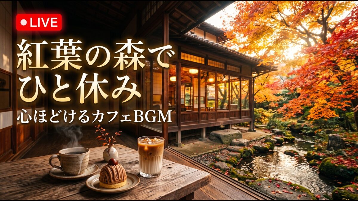 森の小さな珈琲工房｜【カフェBGM】焙煎の香りと木漏れ日に包まれる心地よい午後｜作業・読書・リラックス｜LIVE