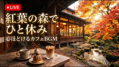 森の小さな珈琲工房｜【カフェBGM】焙煎の香りと木漏れ日に包まれる心地よい午後｜作業・読書・リラックス｜LIVE