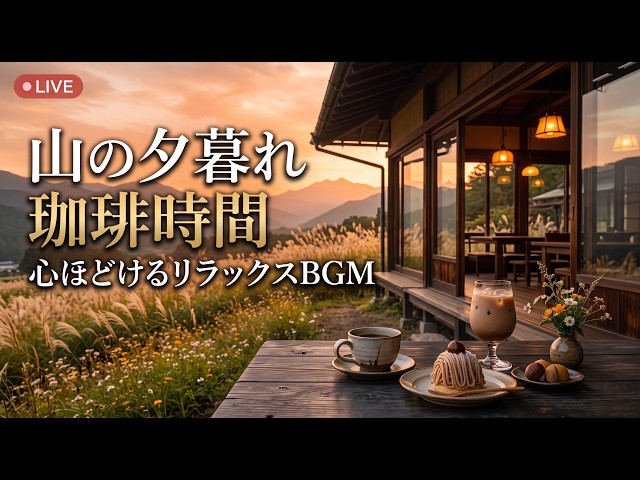 森の小さな紅葉窓喫茶｜【カフェBGM】色づく森を眺めながら味わう穏やかな珈琲時間｜作業・読書・リラックス｜LIVE