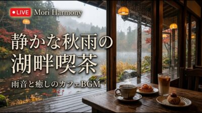 森の小さな珈琲桟敷｜【カフェBGM】秋の森を眺めながら過ごす贅沢な午後｜作業・読書・リラックス｜LIVE