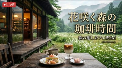 森の小さな栗拾い喫茶｜【カフェBGM】秋の木漏れ日と甘い焼き菓子に包まれる午後｜作業・読書・リラックス｜LIVE