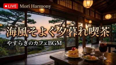 森の小さな吊り橋喫茶｜【カフェBGM】秋の森を渡る風と静かな小川に癒される珈琲時間｜作業・読書・リラックス｜LIVE