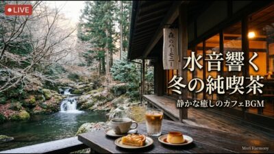 森の小さな紅葉小径喫茶｜【カフェBGM】赤や黄金に染まる木々と秋風に包まれる癒しの珈琲時間｜作業・読書・リラックス｜LIVE