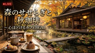 森の小さな渓谷喫茶｜【カフェBGM】深い谷を渡る秋風と紅葉に包まれる静かな珈琲時間｜作業・読書・リラックス｜LIVE
