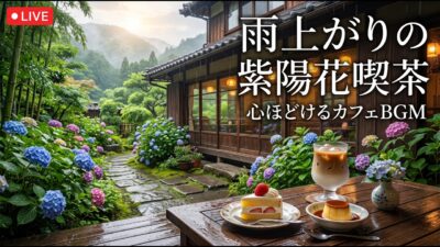 森の中の小さな灯りの純喫茶｜【カフェBGM】夕暮れの木々と珈琲に包まれる静かな時間｜作業・読書・リラックス｜LIVE