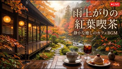 森の小道を望む小さな純喫茶｜【カフェBGM】木の香りと珈琲に包まれる静かなひととき｜作業・読書・リラックス｜LIVE