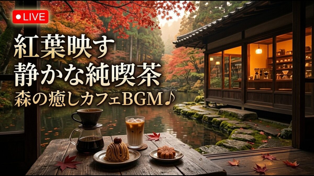 森の小さな霧窓喫茶｜【カフェBGM】朝霧に包まれた山の森と珈琲に癒される静かな時間｜作業・読書・リラックス｜LIVE