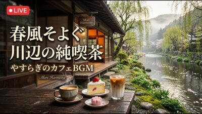 森の小さな欅喫茶｜【カフェBGM】黄金色の大木と秋の木漏れ日に包まれる穏やかな珈琲時間｜作業・読書・リラックス｜LIVE